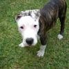 RoCcO